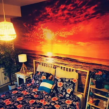 Debarcaderul Pescarului Apartament