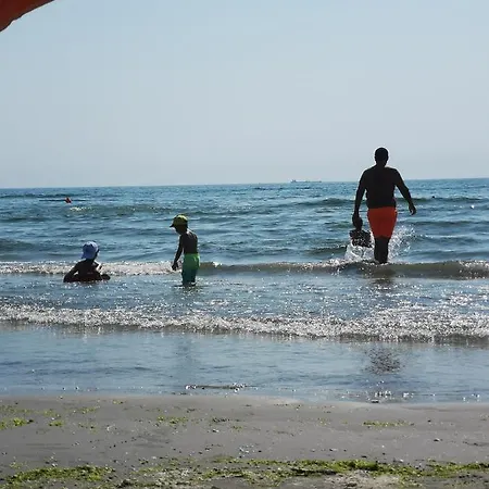 Debarcaderul Pescarului Apartament *